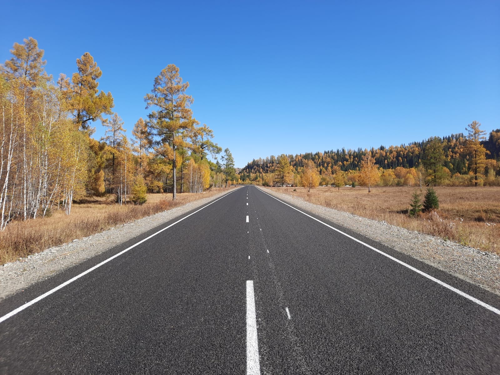 Продолжить дорога. Автомобильная дорога в парке. Автодорога. Распределительная автомобильная дорога в парке.